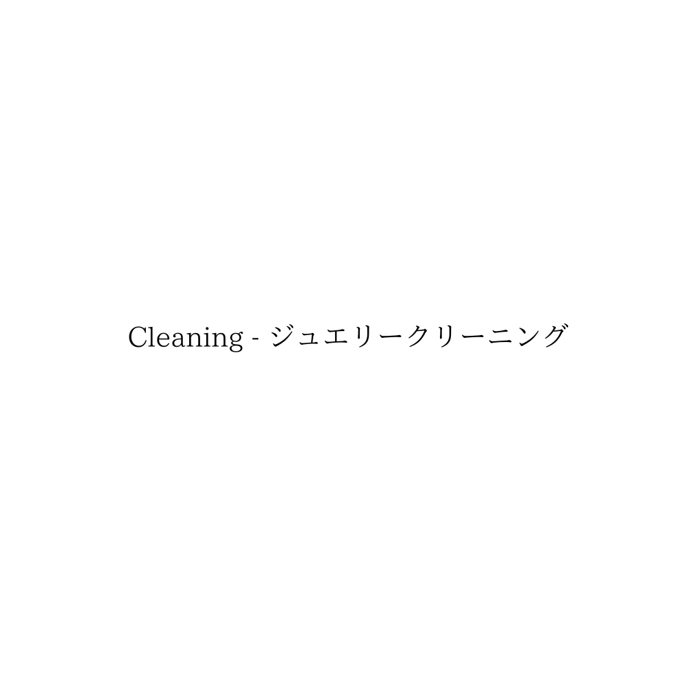 Cleaning - ジュエリークリーニング