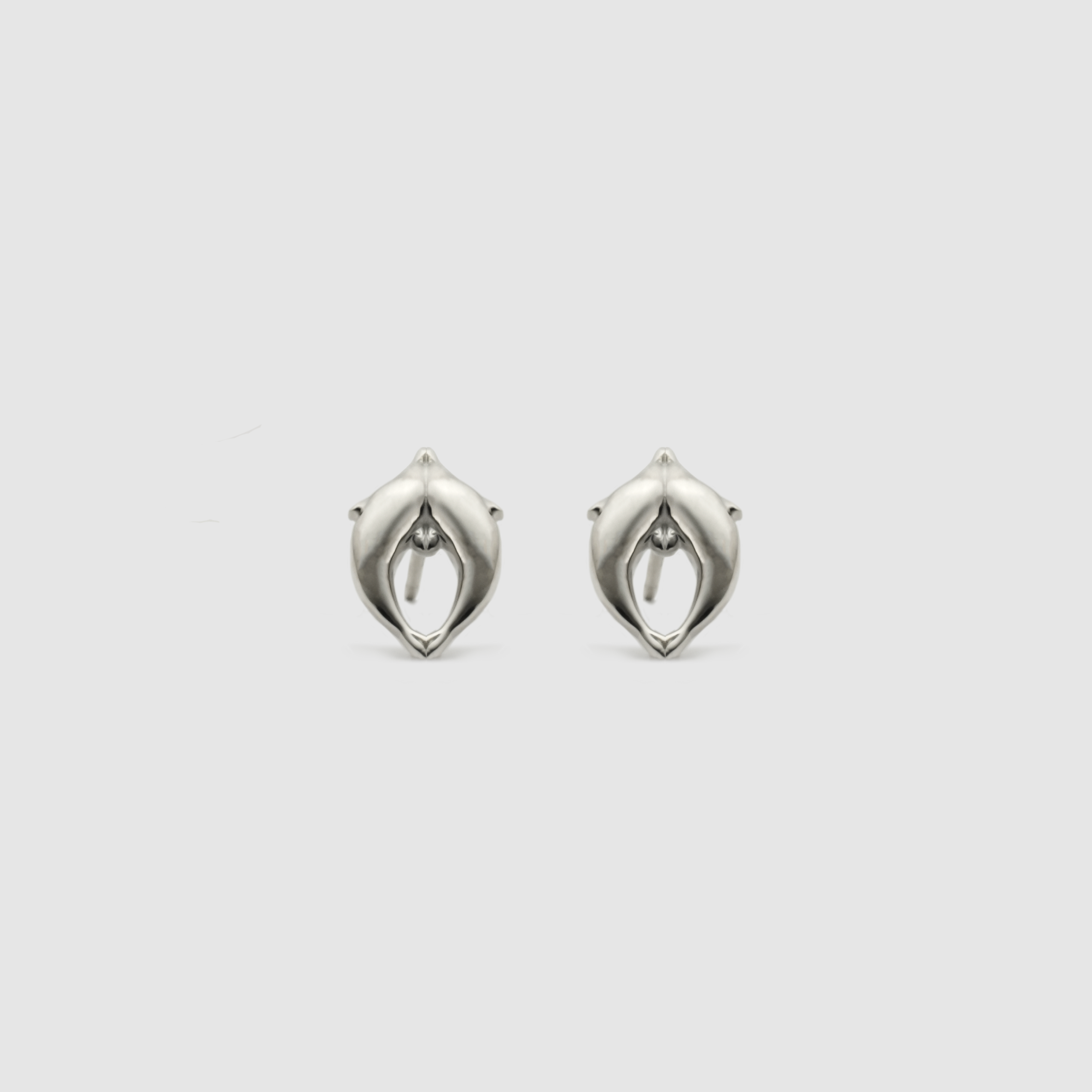 dolphin pierce