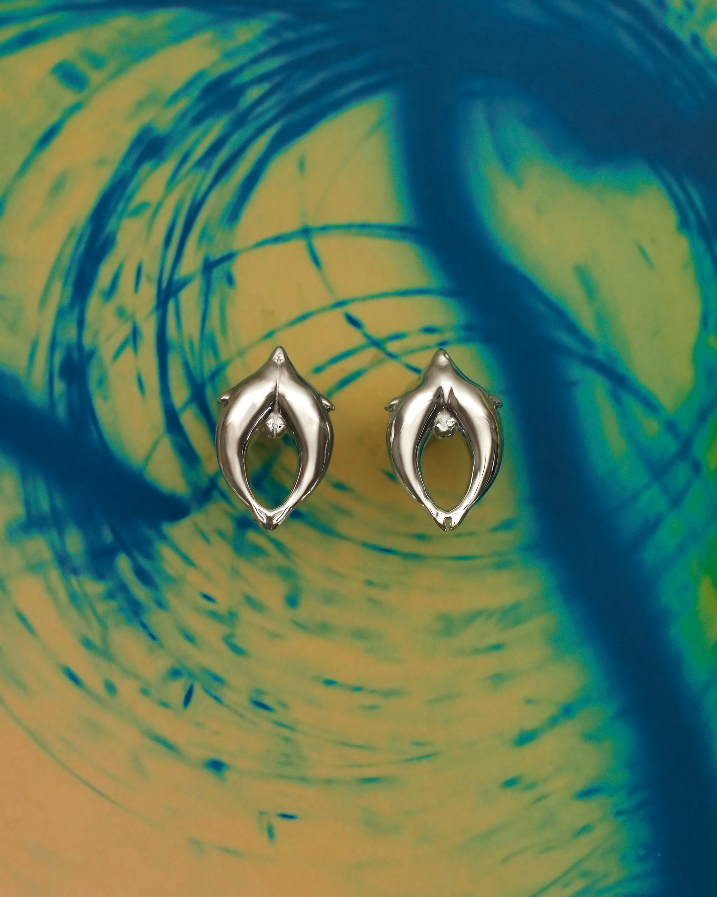 dolphin pierce